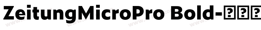 ZeitungMicroPro Bold字体转换